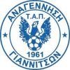 Logo Anagennisi Giannitsa
