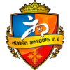 Logo câu lạc bộ Hunan Billows