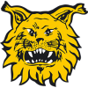 Ilves football club
