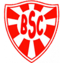 Logo câu lạc bộ Botafogo BA