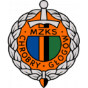 Logo câu lạc bộ Chrobry Glogow