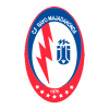 Logo Rayo Majadahonda