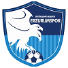 Logo Erzurumspor FK