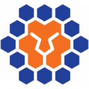 Logo câu lạc bộ Queensland Lions FC