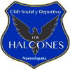 Logo CSyD Halcones