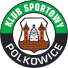Logo Górnik Polkowice