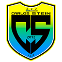 Logo Carlos Stein
