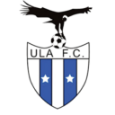 Logo Union Local Andina