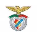 Logo SLB Laulara