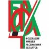 Logo Belarusian Cup - Belarus