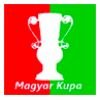 Logo Magyar Kupa