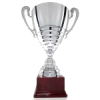 Copa Constitució