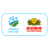 Chinese FA Cup