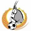 Logo Namibia Premier League - Namibia