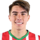Martín Alonso Lara Collao