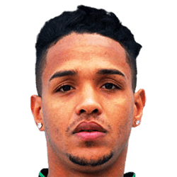 Rodrigo Henrique Santana Da Silva