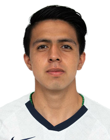 Arturo Naelson Cárdenas Delgado