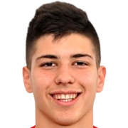 Milan Vukotić