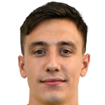 Luka Kambic