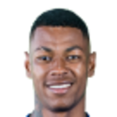 Henrique Rodrigues Cardoso