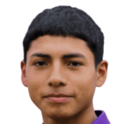 Carlos Orlando Saavedra Fernández
