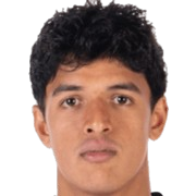 Rohan Rajagopal
