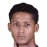 Tevis Gabriel Alves Santos