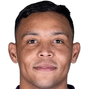 Luis Fernando Muriel Fruto
