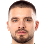 Vladimir Rodić
