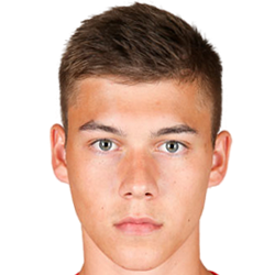 Lukas Malicsek