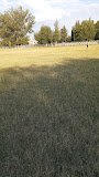 Sân vận động Sartitchala Central Stadium – sân nhà của SFC Shturmi